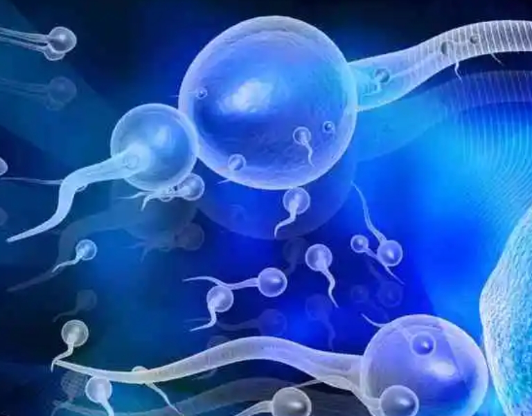 试管胎停原因大揭秘：胚胎质量与子宫内膜异位之影响