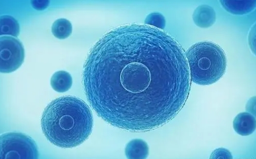 做试管如何避免空卵泡？三种方法分享