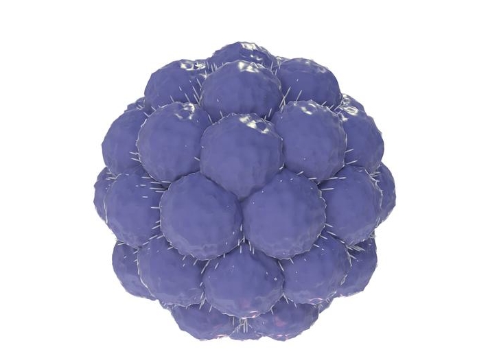 71.png