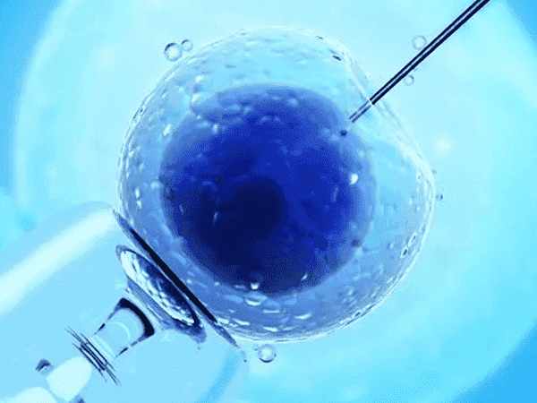 试管移植 HRT 技术攻略：移植步骤与成功率数据已公开