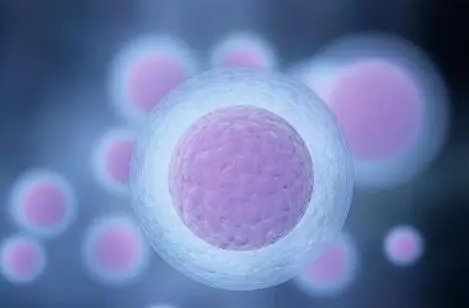 细说试管移植当天针灸的好处：这四个作用帮助提高移植成功率
