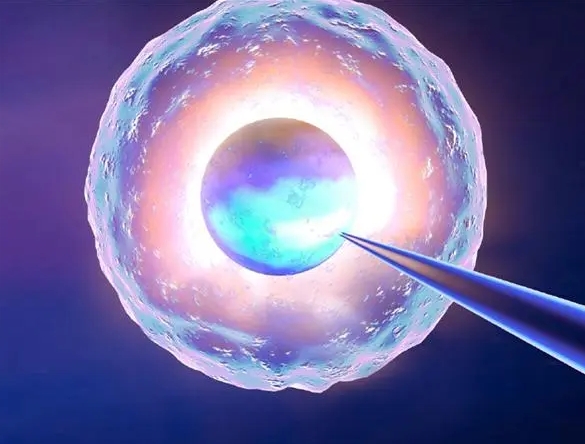 做试管生的孩子普遍体质弱吗？试管婴儿技术解读
