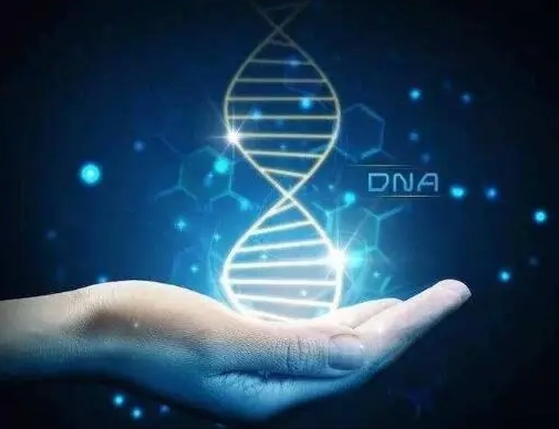 试管冻胚、鲜胚和囊胚的区别大揭秘