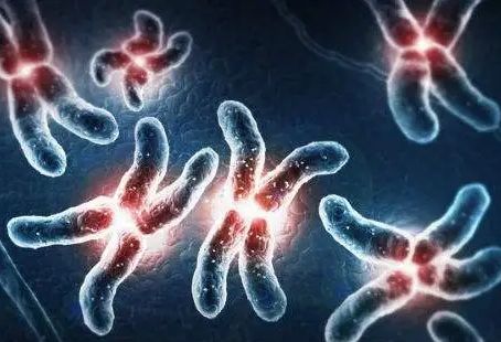 鲜胚移植前的必备功课：检查与子宫内膜评估
