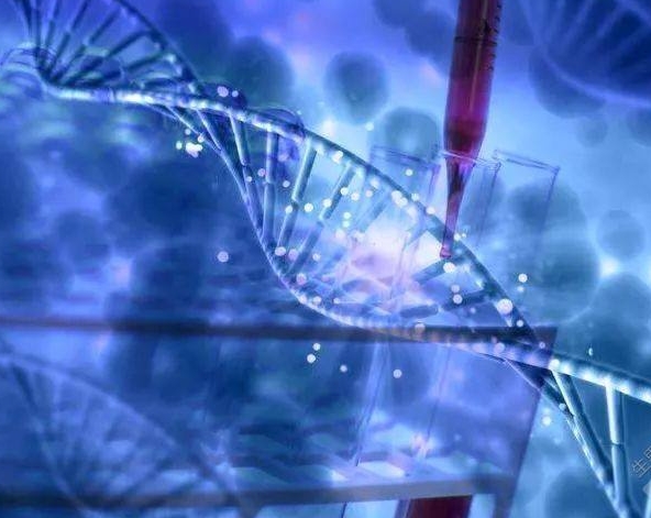 论鲜胚移植前的检查工作及子宫内膜评估的关键意义