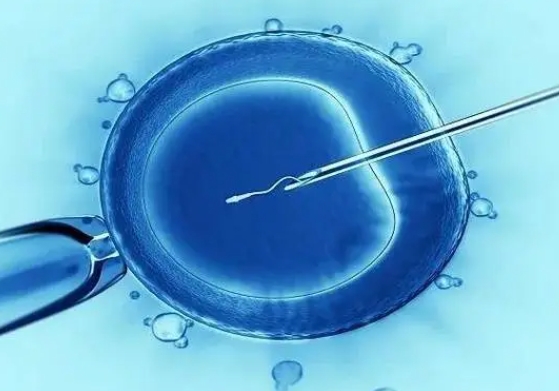 73.png