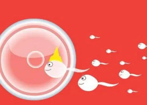 试管婴儿的抉择：先造影还是先打针？