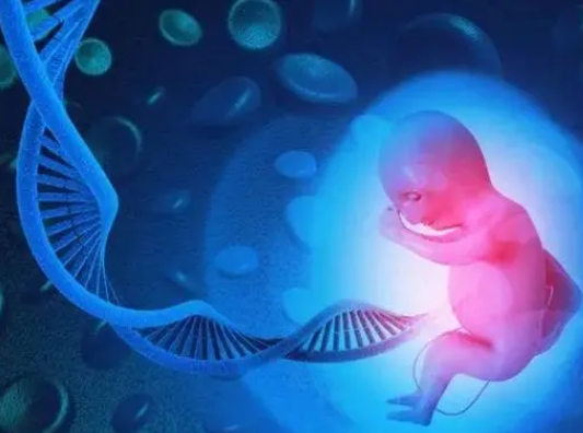 试管移植成功率究竟受哪些因素影响？这六个关键因素缺一不可