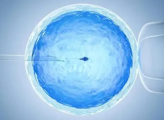 探秘试管遗传检查技术：为健康宝宝保驾护航