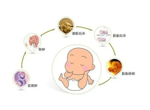 哈尔滨三代试管医院，生命奇迹的孕育之地
