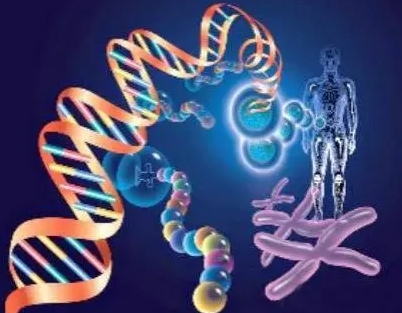 山东中医药大学附属医院试管指南：费用与流程深度剖析