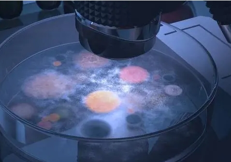 马来西亚专家观点：怀孕，真的不必太纠结孕酮值？