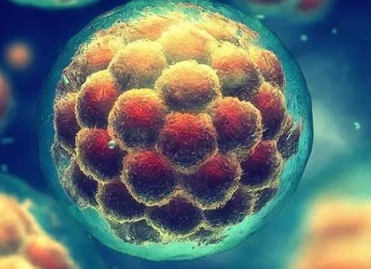 促排卵泡成熟不破裂，做试管几代才能成功？