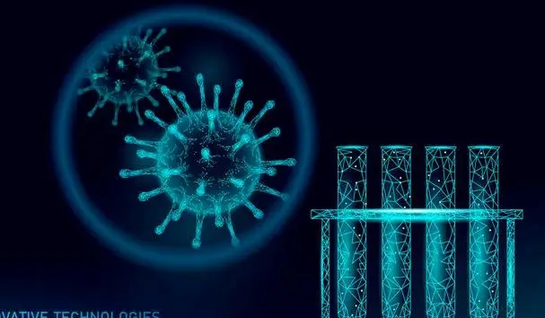 怀孕期间需要注意哪些关键问题？