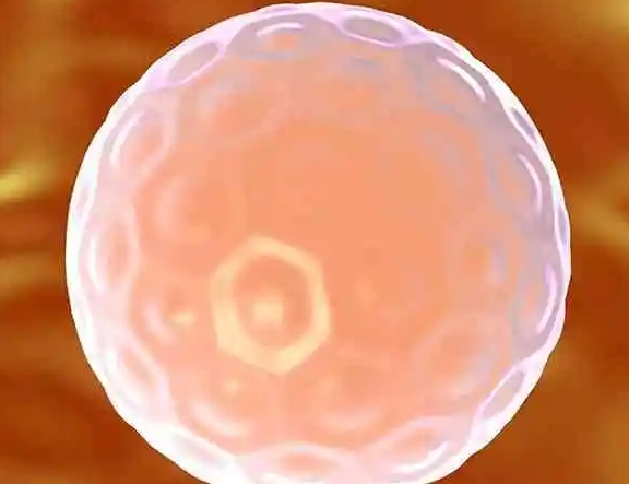 43.png