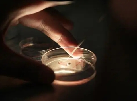 精子畸形与 DNA 碎片率高的困境？三代试管技术带来新希望