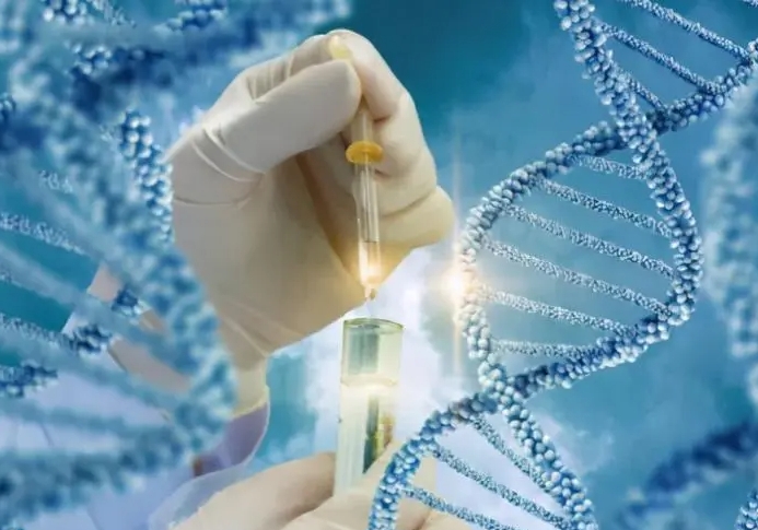 试管并不是一次就能成功，提高试管成功率最全面的方法一览