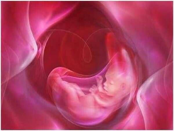 第三代试管婴儿成功率高吗？—— 全面解读与探讨