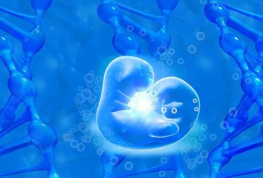 探讨：更年期试管与 2025 绝经试管的可行性与方式