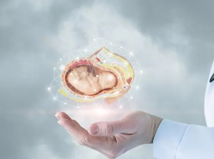 第三代试管婴儿：开启生育新希望的钥匙