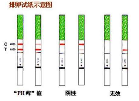 巧克力囊肿可以去泰国乐樱医院做试管婴儿吗？需要花费多少钱