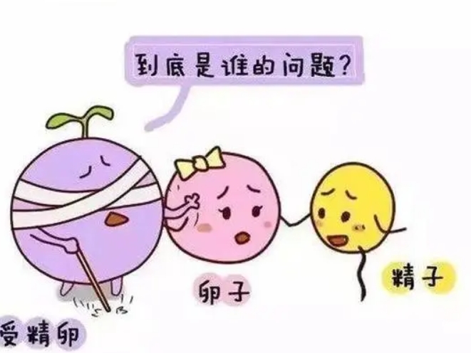 免疫异常可以去马来西亚生丰医院做试管婴儿吗？需要花费多少钱