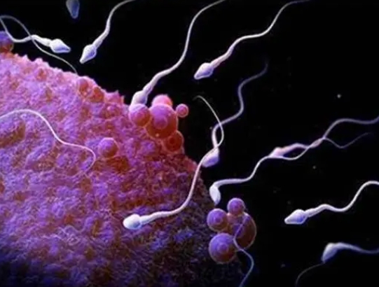 美国三代试管婴儿成功率解析，影响因素与提升策略