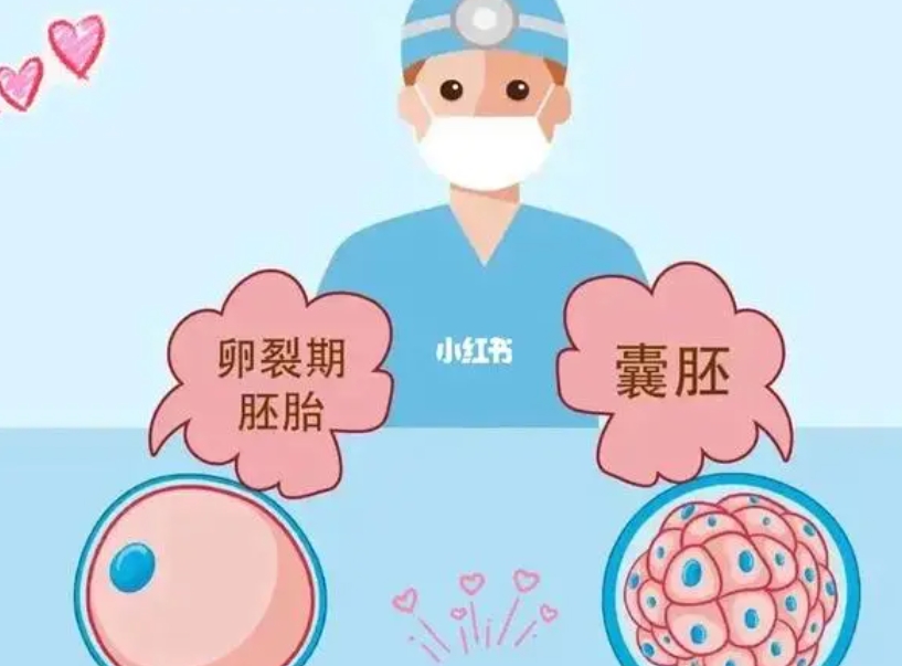 2025河北试管婴儿医院排名，附成功率及费用介绍