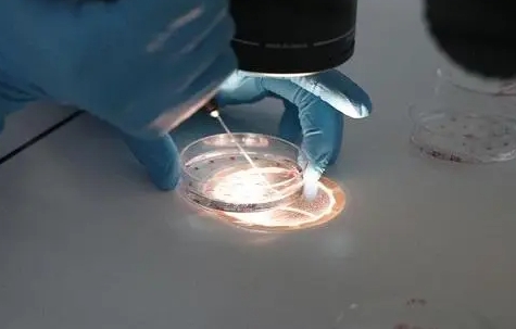 上饶有哪些优秀的试管婴儿医院？如何选择适合自己的医院？