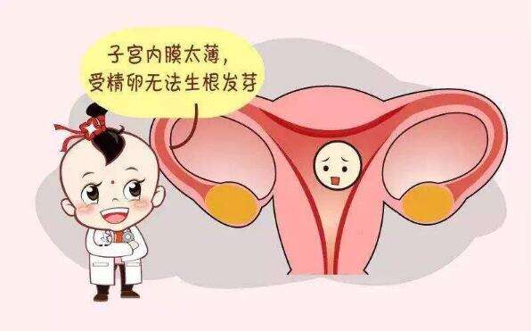 哪个年龄段的试管成功率更高？如何提高试管婴儿的成功率？