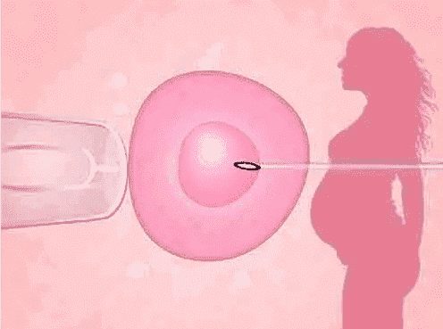 没有结婚证去深圳做三代试管麻烦吗？需要花费多少钱