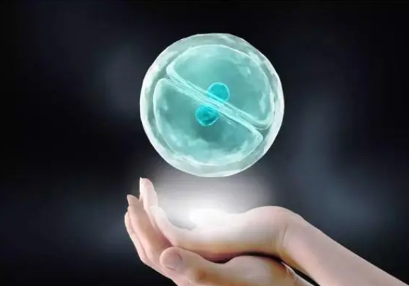 高龄在浙江做三代试管的成功率有多少？有哪些因素会影响试管成功率