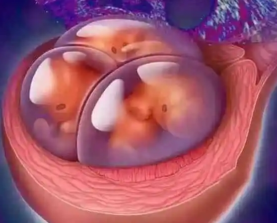 甲亢在泉州做三代试管的成功率有多少？有哪些因素会影响试管成功率