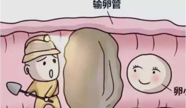 在准备试管婴儿之前需要做哪些调整？试管婴儿前有多少促排卵药物不起作用？