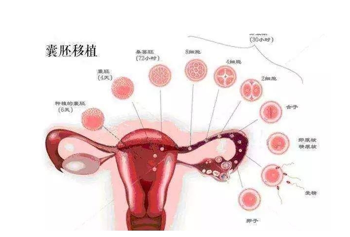 上海第三代试管婴儿费用大概多少钱？十万够吗？