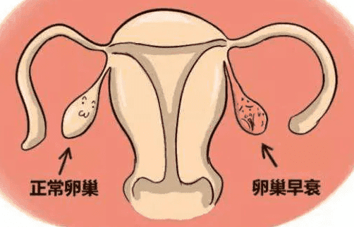 中国试管公司哪家好？选择好医院就看这里