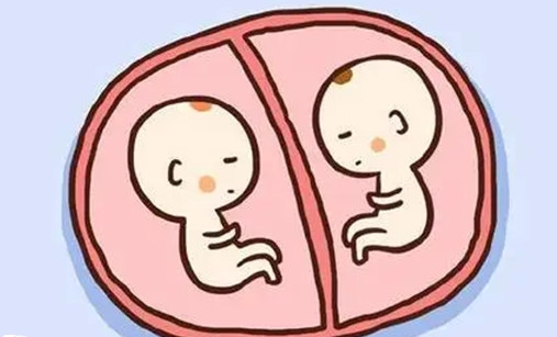 2025上海试管婴儿医院排名，这5家医院试管婴儿成功率高