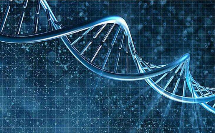 2025佳木斯试管婴儿医院排名，附试管婴儿成功率和费用一览