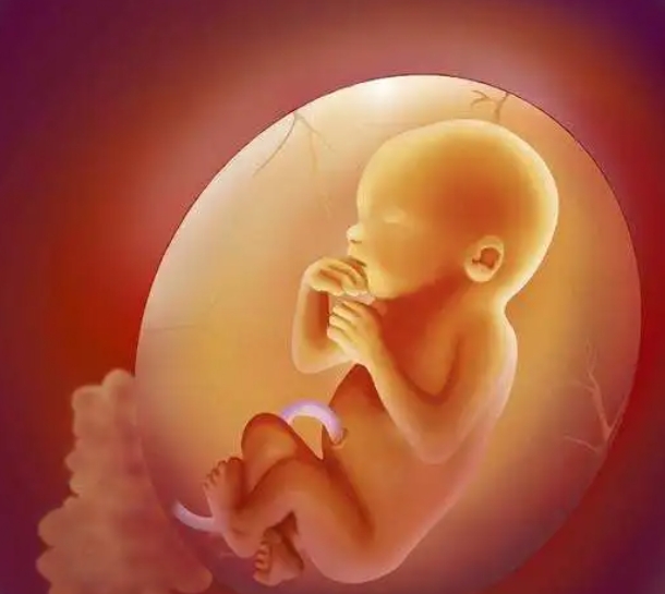 南京试管婴儿生子助孕机构排名，附机构一览表