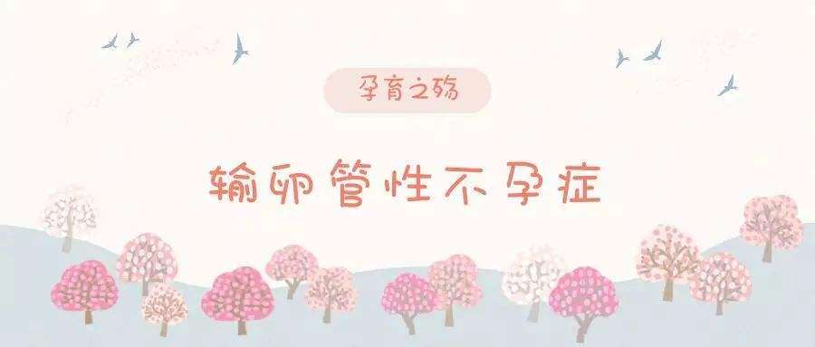 西安试管婴儿医院推荐，探寻哪家试管技术更优
