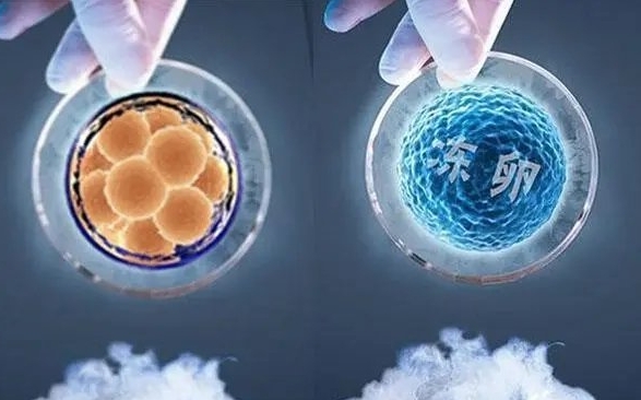 北华附属医院人工受孕技术如何？参考2025年各种生殖成功率