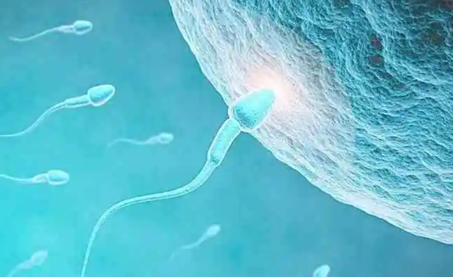 南京试管婴儿哪家医院成功率高？成功      大概费用需要多少钱？