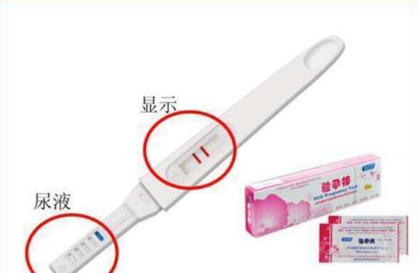 乐宝得和丽申宝有什么区别？从选对药开始，想要取得好的效果？