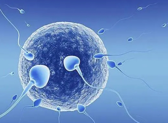染色体异常导致的不孕不育做三代试管婴儿可以生育健康宝宝吗？