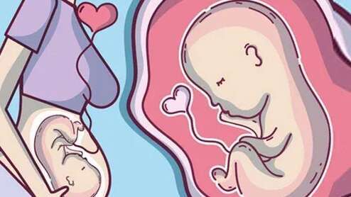 2025十堰人民医院试管婴儿技术怎么样？附生育成功率预估