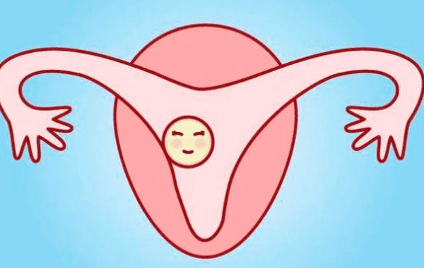 子宫腺肌症可以做试管婴儿吗？