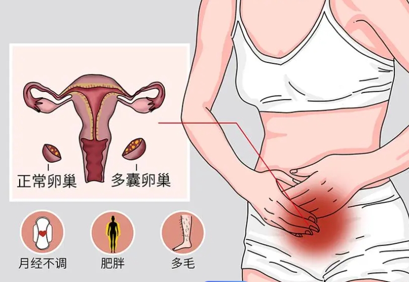 成都三代试管费用详细解析，总共需要多少钱？
