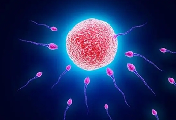 精子活性低可以在上海市第六人民医院做试管婴儿吗？成功率高吗？