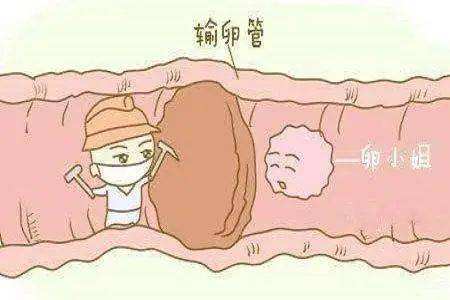 合肥试管婴儿的价格是多少？试管移植后可以洗澡吗？