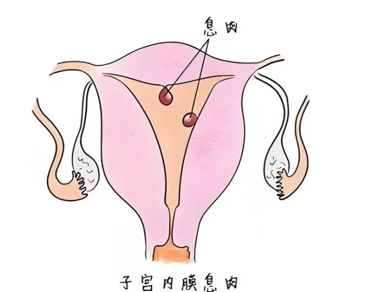 云南试管婴儿医院排名比较好的是哪家？附云南试管医院排名
